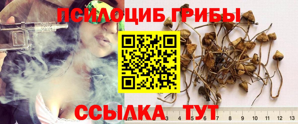 наркошоп  Вход с VPN  Гусь-Хрустальный  Галлюциногенные грибы MAGIC MUSHROOMS  Псилоцибиновые грибы MAGIC MUSHROOMS 