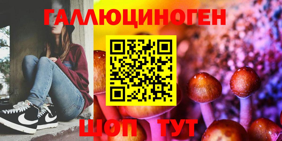 Галлюциногенные грибы Psilocybine cubensis Гусь-Хрустальный